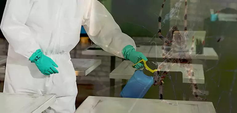 Why Buyers Still Want Homes With Pest Infestations in Cincinnati, OH?