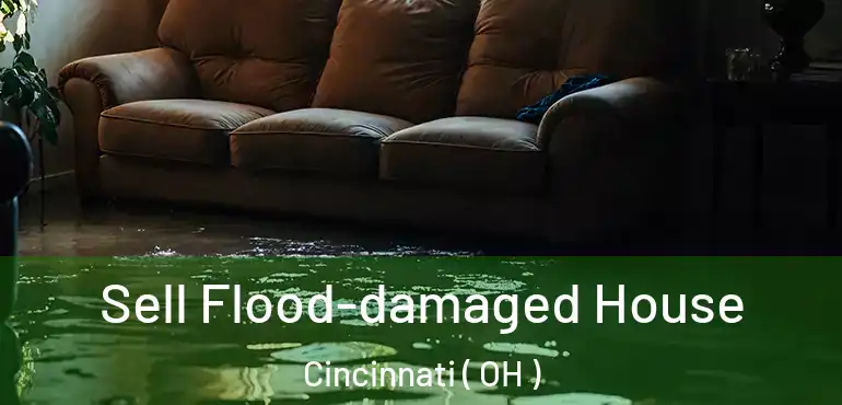  Sell Flood-damaged House Cincinnati ( OH )
