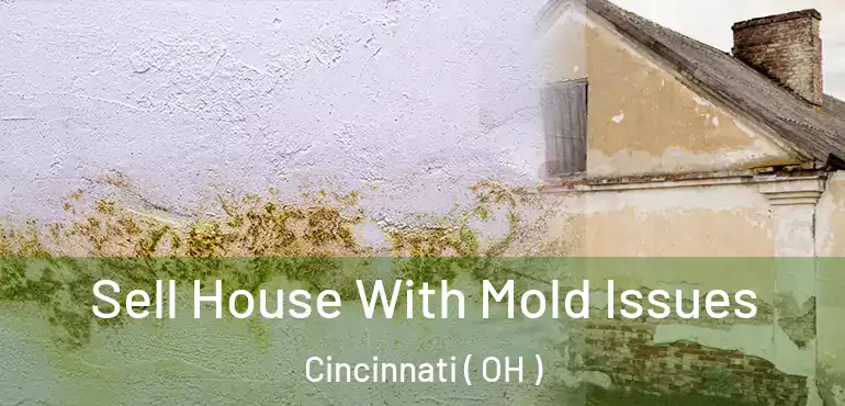  Sell House With Mold Issues Cincinnati ( OH )